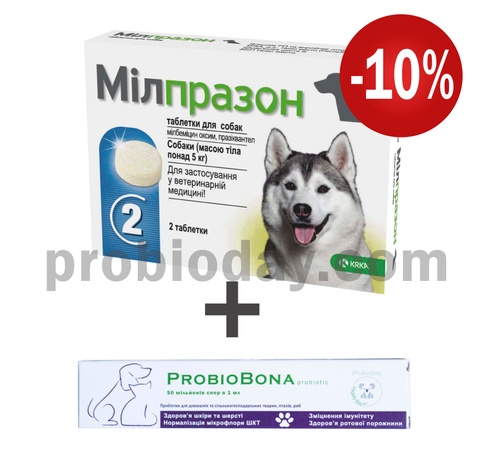Таблетки від глистів Мілпразон для собак більше 5 кг 2 табл в уп - упаковка 000136 фото 1